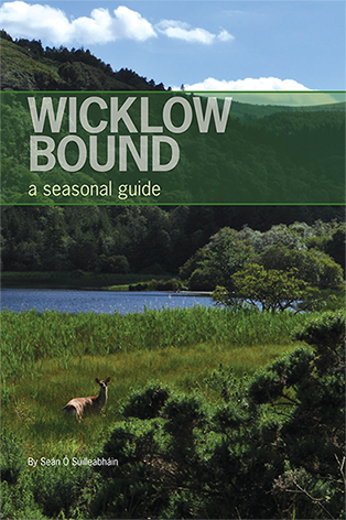 Wicklow Bound